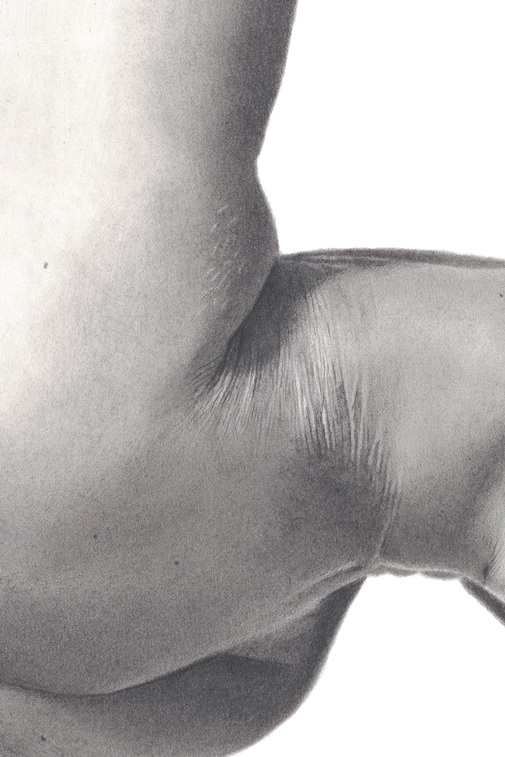 Graphite drawing artwork of a female figure by Daniel McMahon