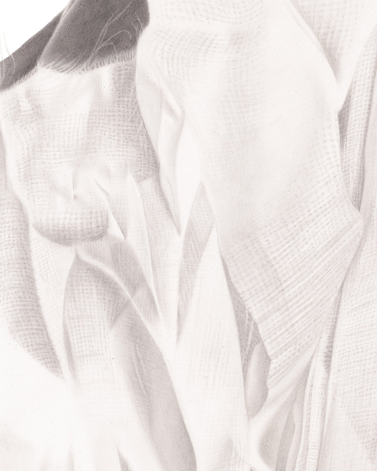 the graphiteline simple Grace of Athena