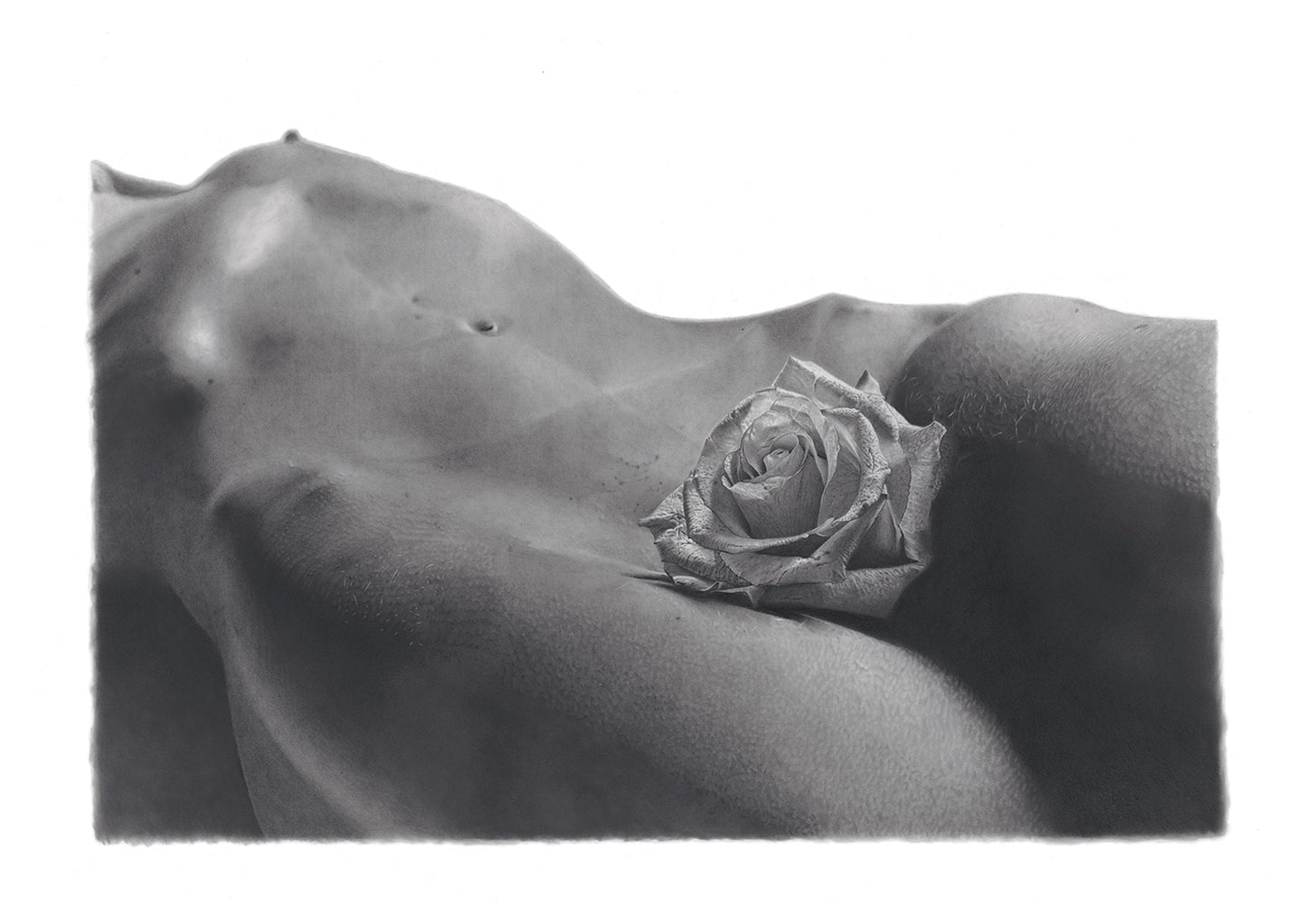 Graphite drawing artwork of a female figure by Daniel McMahon