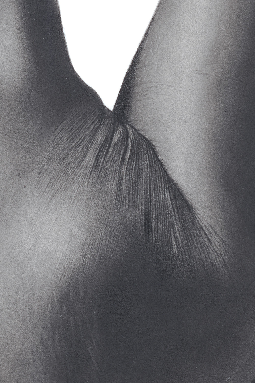 Graphite drawing artwork of a female figure by Daniel McMahon