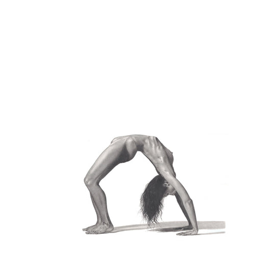 the graphiteline simple Ephemeral Resonance