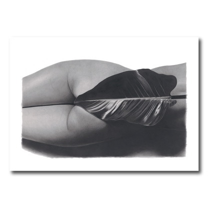 the graphiteline simple Eve